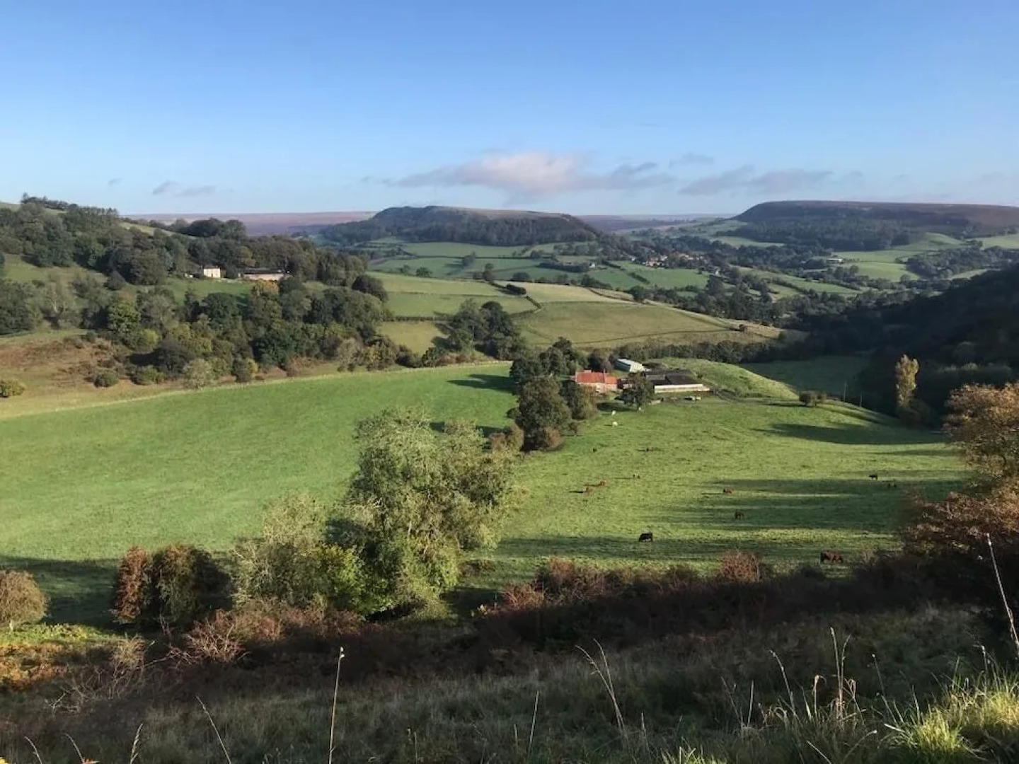 Valley View Farm, Batcombe
