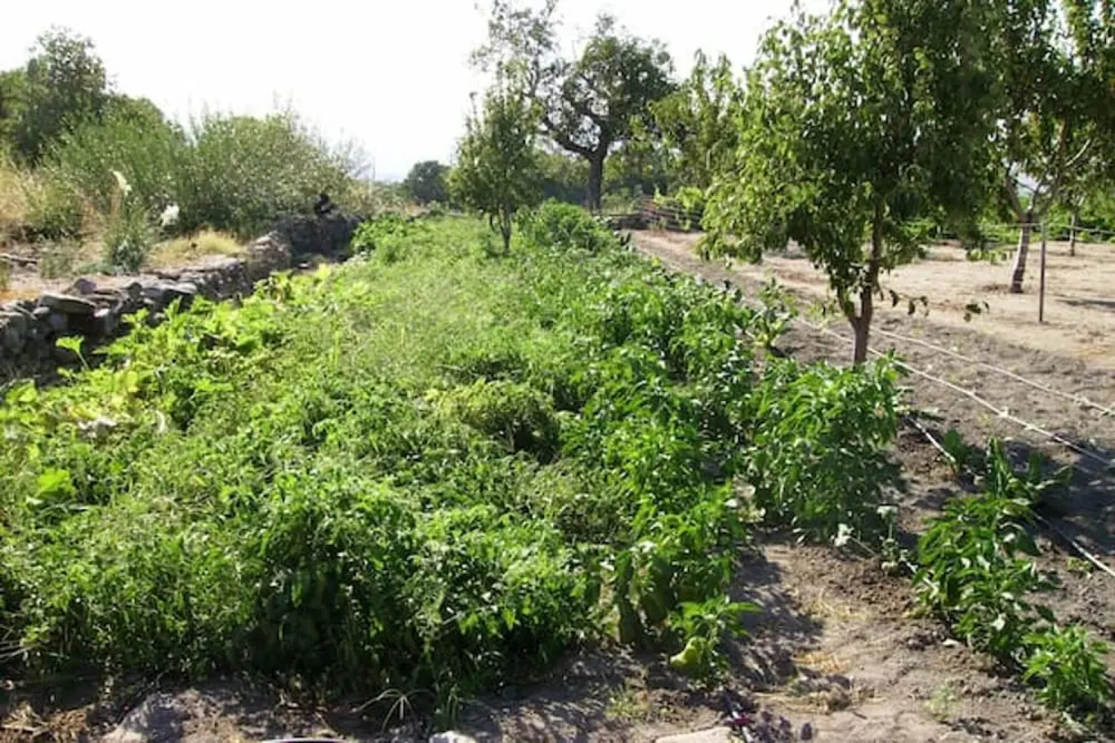 Villa With 3 Bedrooms in Montánchez, With Private Pool