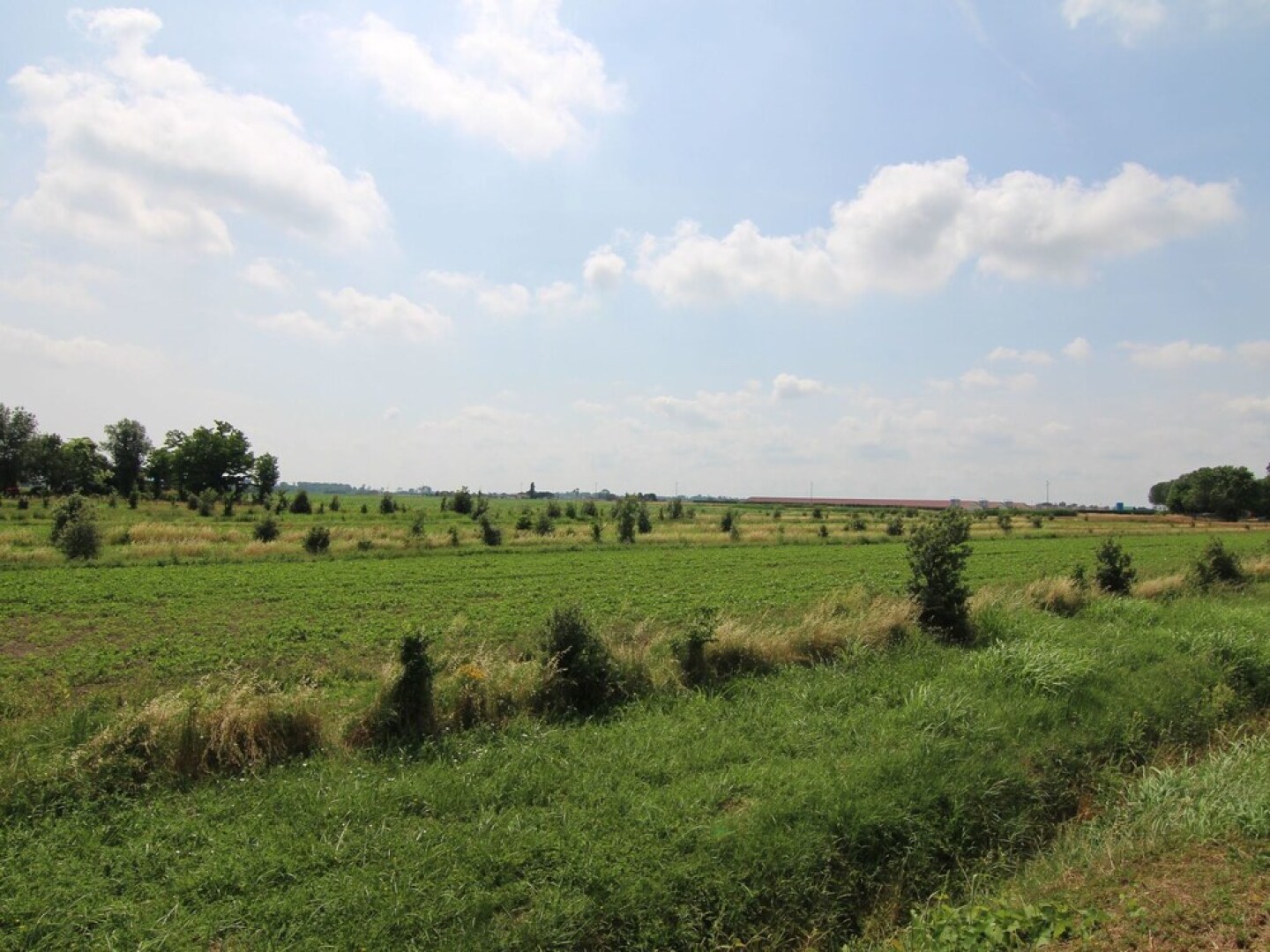 Holiday Home in the Reserve of Delta del Po, Wi-fi, Pets Allowed, Swimming Pool