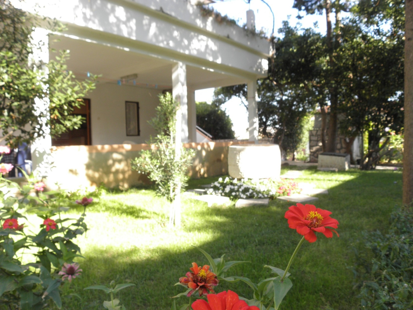 Apartment Ivo - with nice garden: A2 Pag, Island Pag