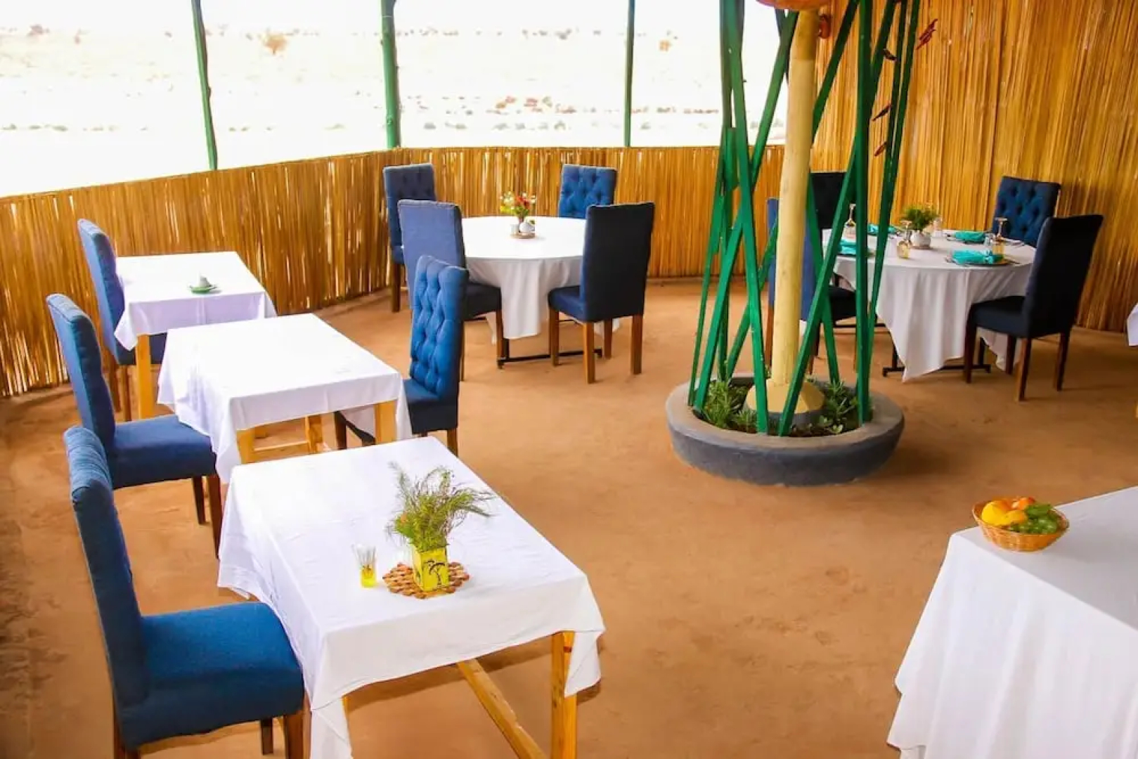 Amanya 2-rooms Lioness Family