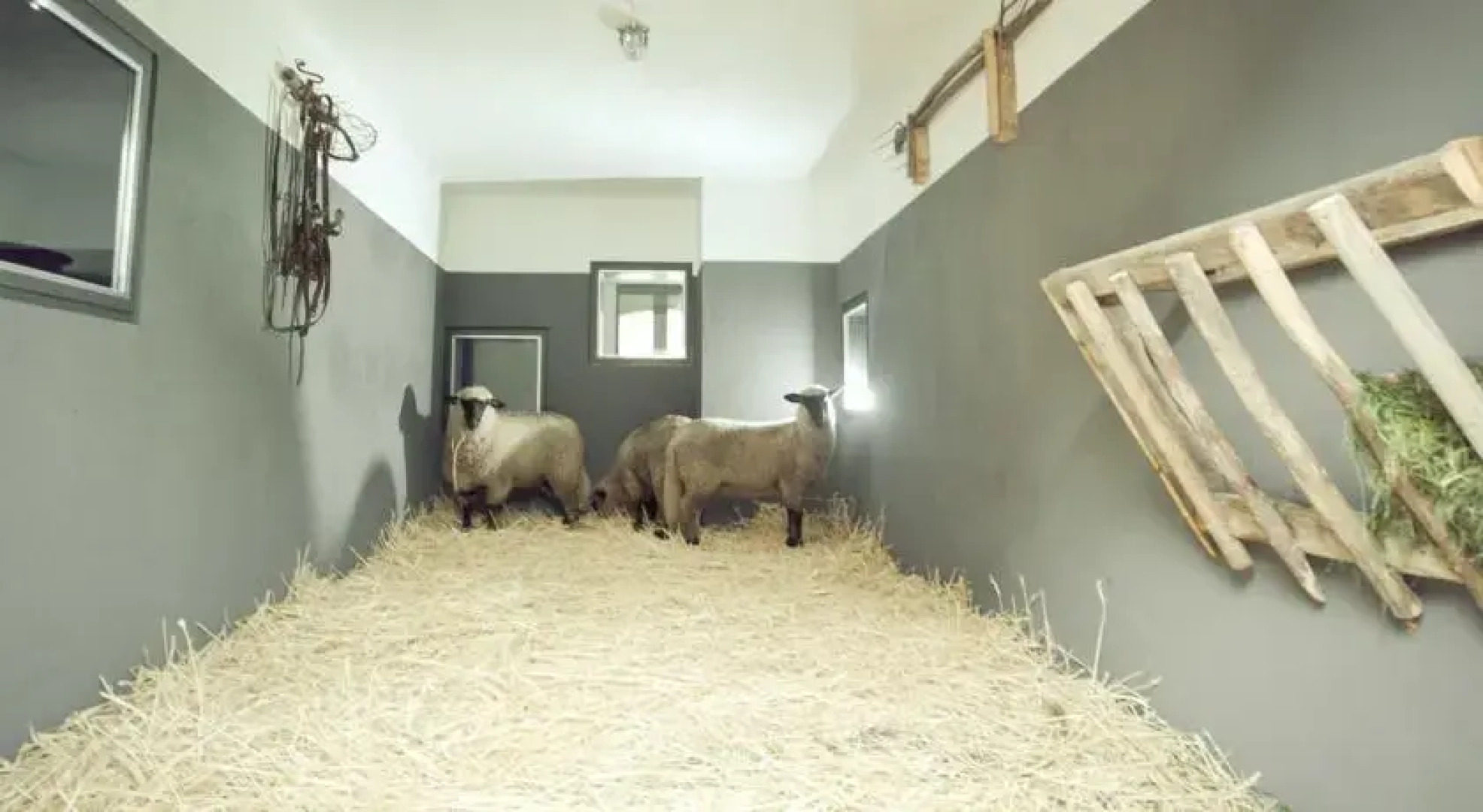 Ferienhof Middenmank