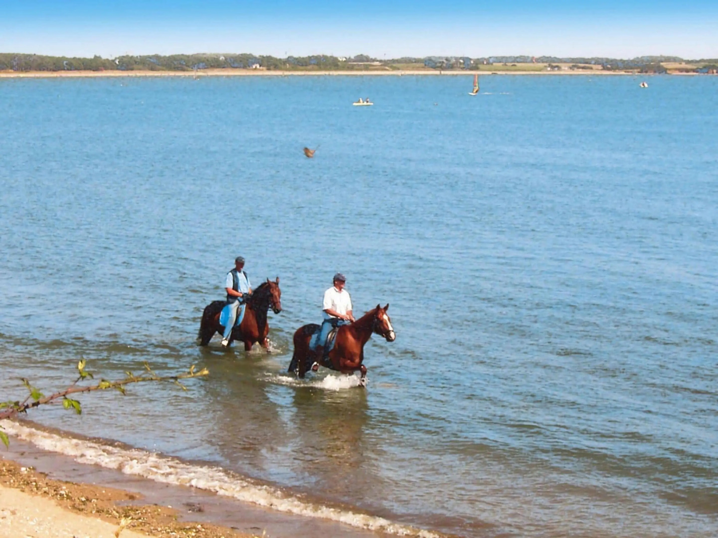 Semi-detached House, Penestin