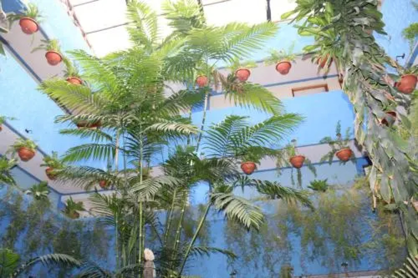 Hotel Kasa Kamelot 2