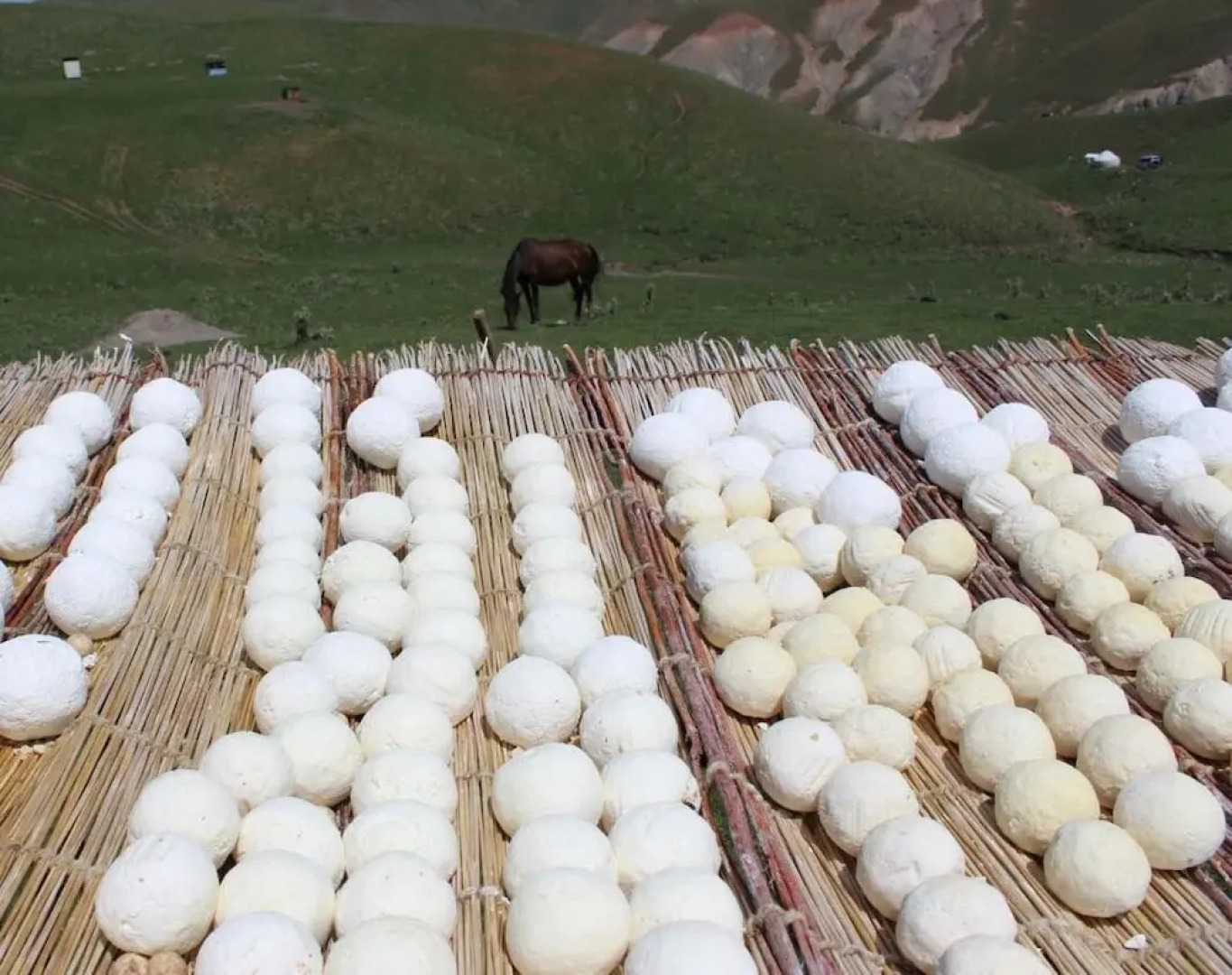 Юртовый лагерь GREEN CAMP