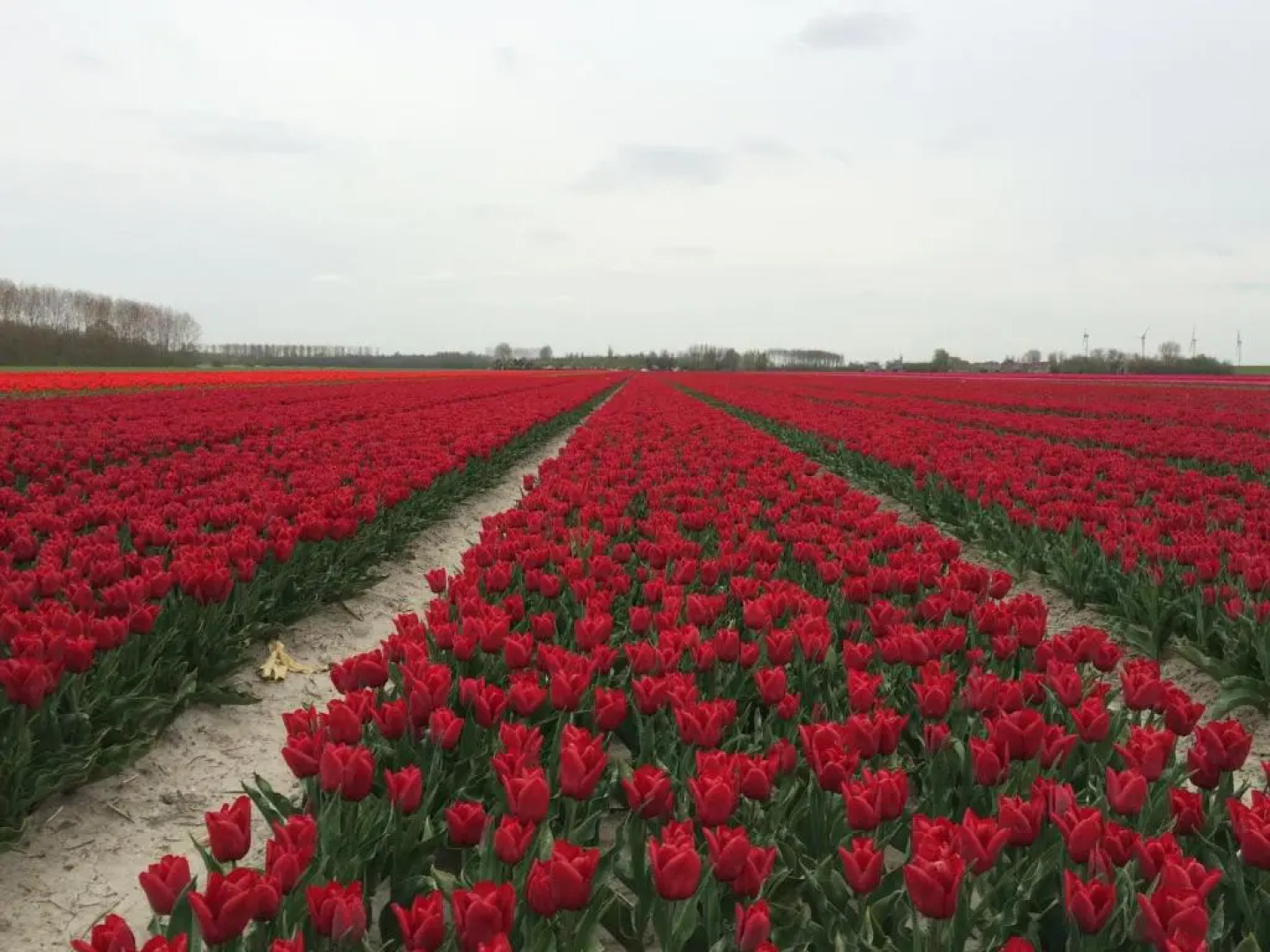 Bed & Breakfast Herkingen GR5