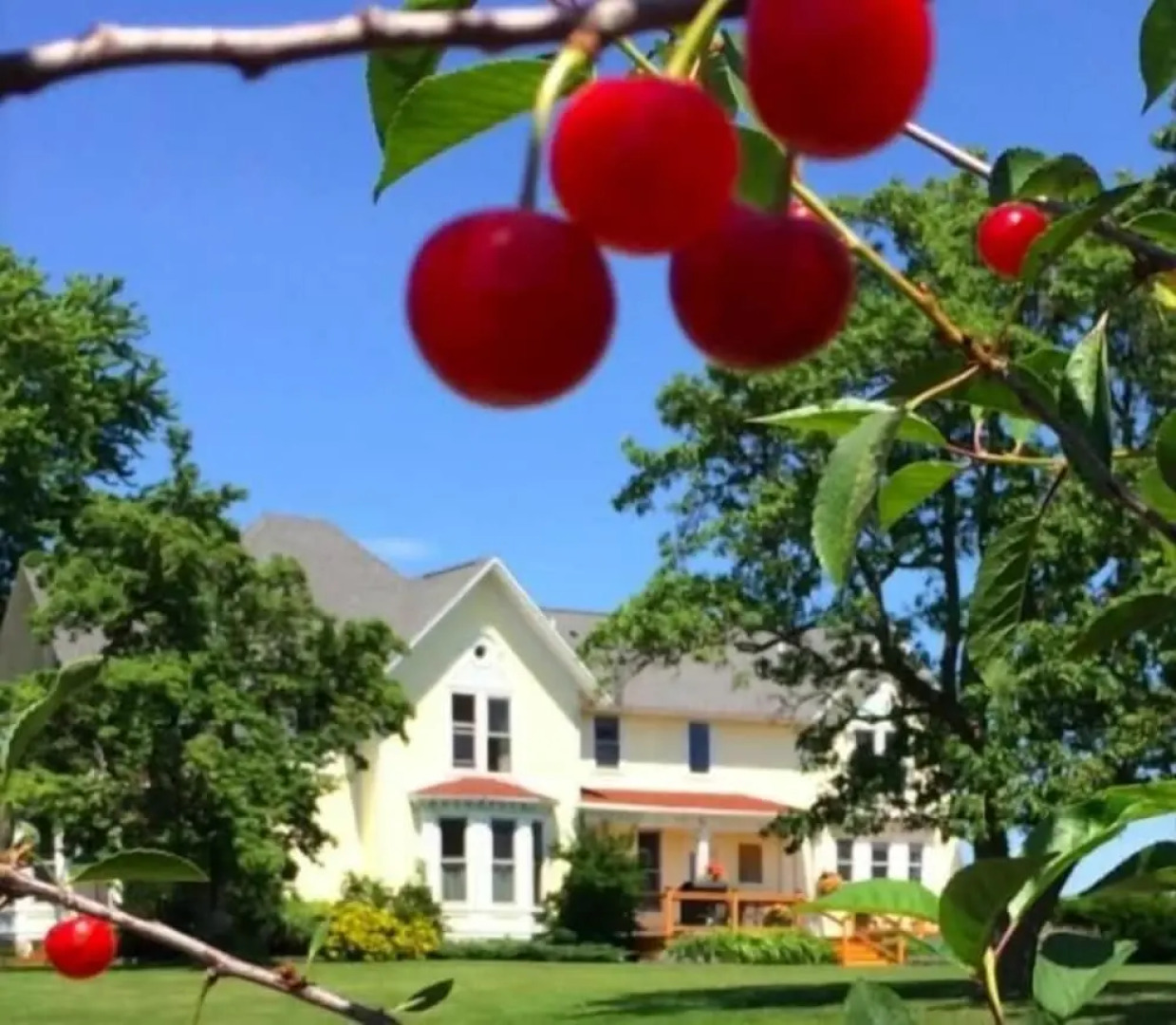 Country Hermitage B&B