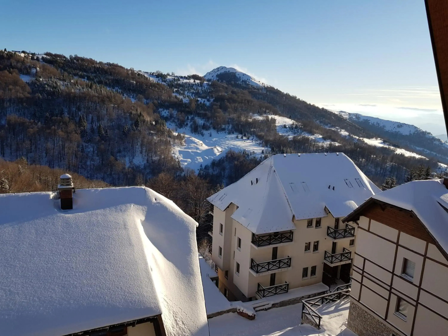 Ski & Relax Apartment