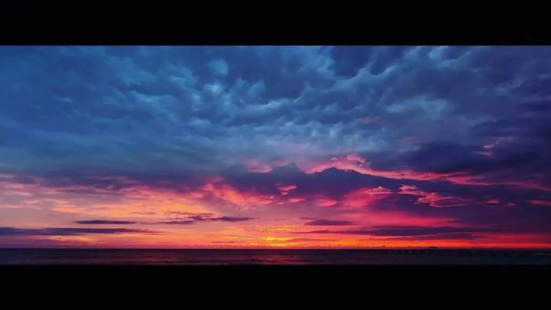 Heated Salt Water Pool Bungalow Mins From Beach in Deerfield Beach