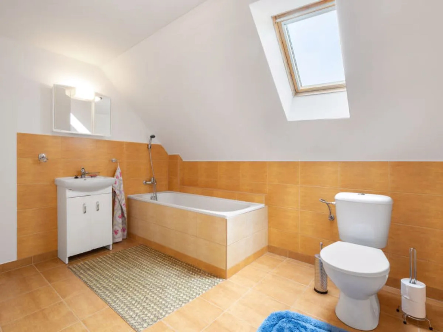 Rokytnice v Orlických horách