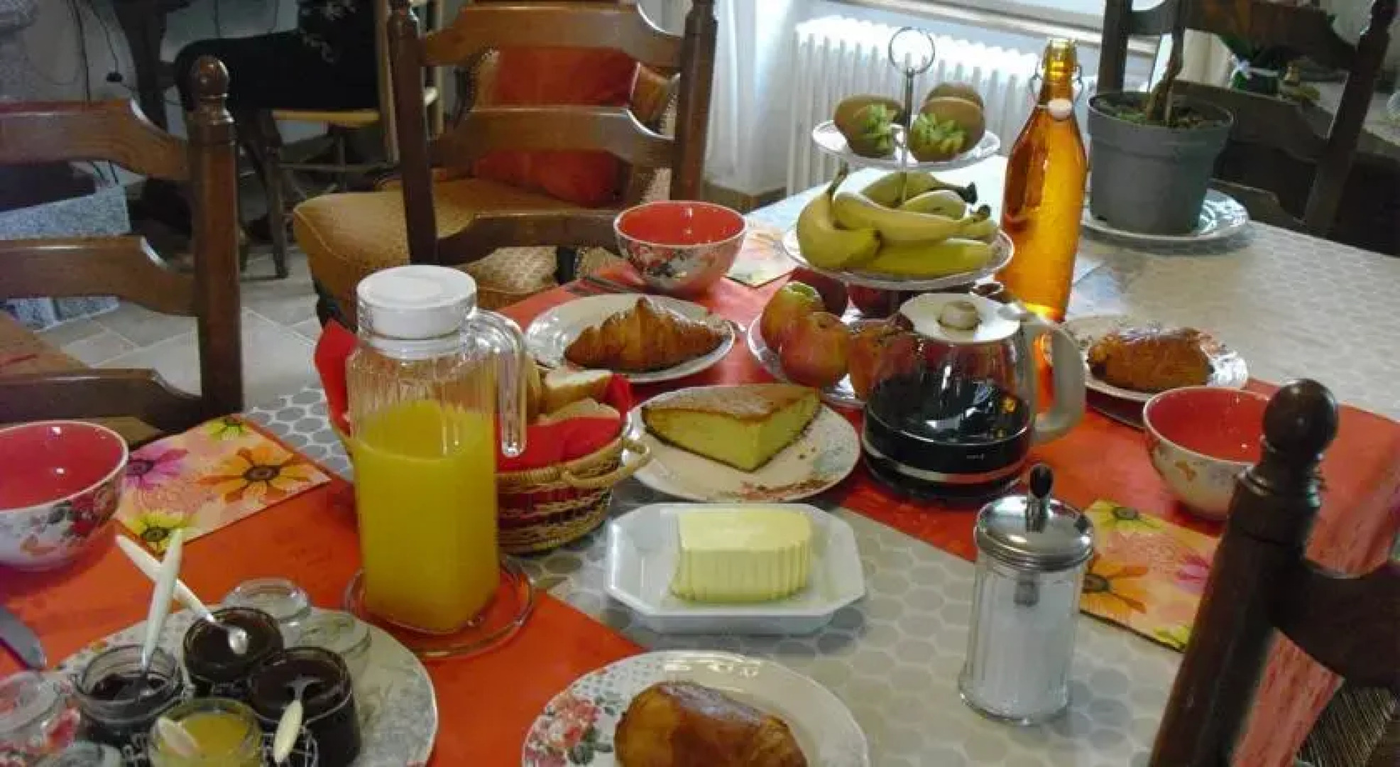 Les Clématites du Mont Saint Michel