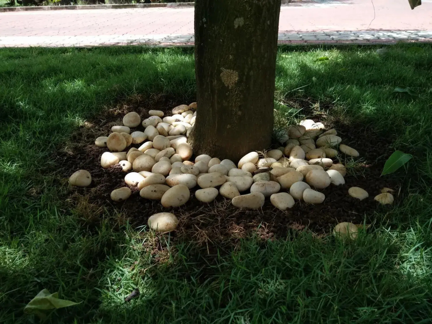 Harum Manis Country House