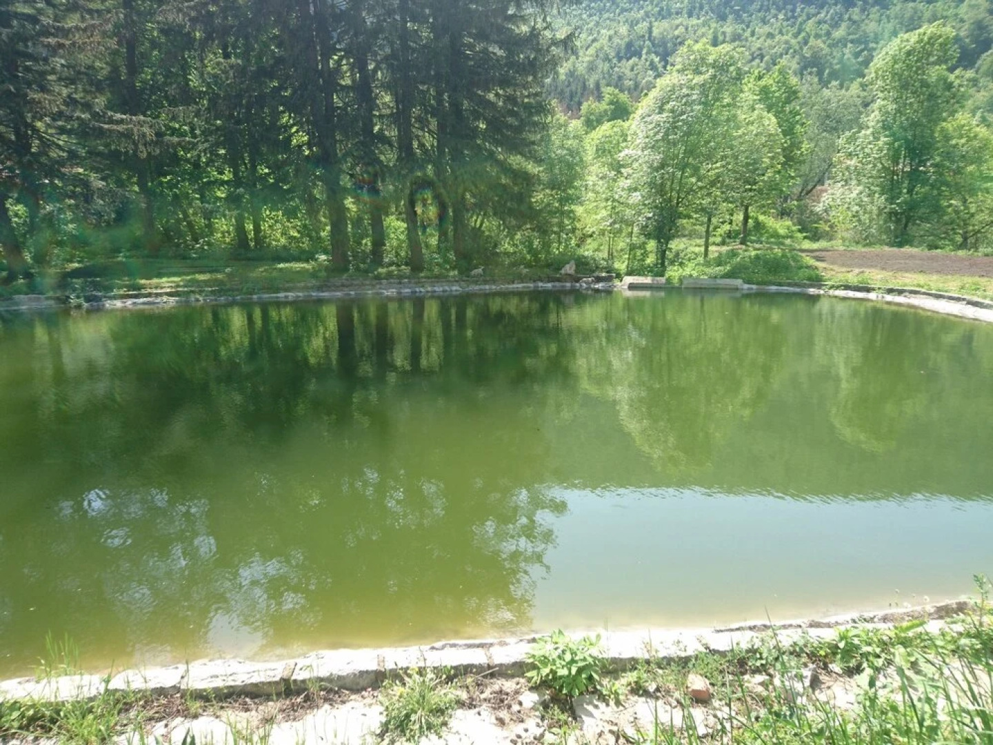 Bed and Breakfast Radgost