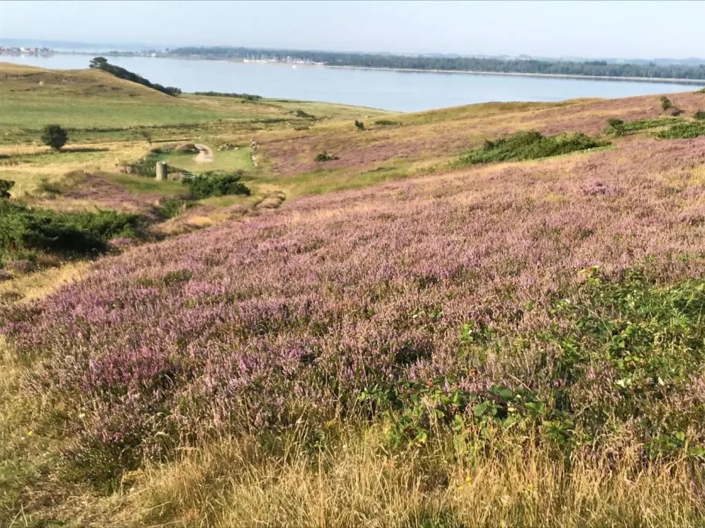 Porshus Ferielejlighed