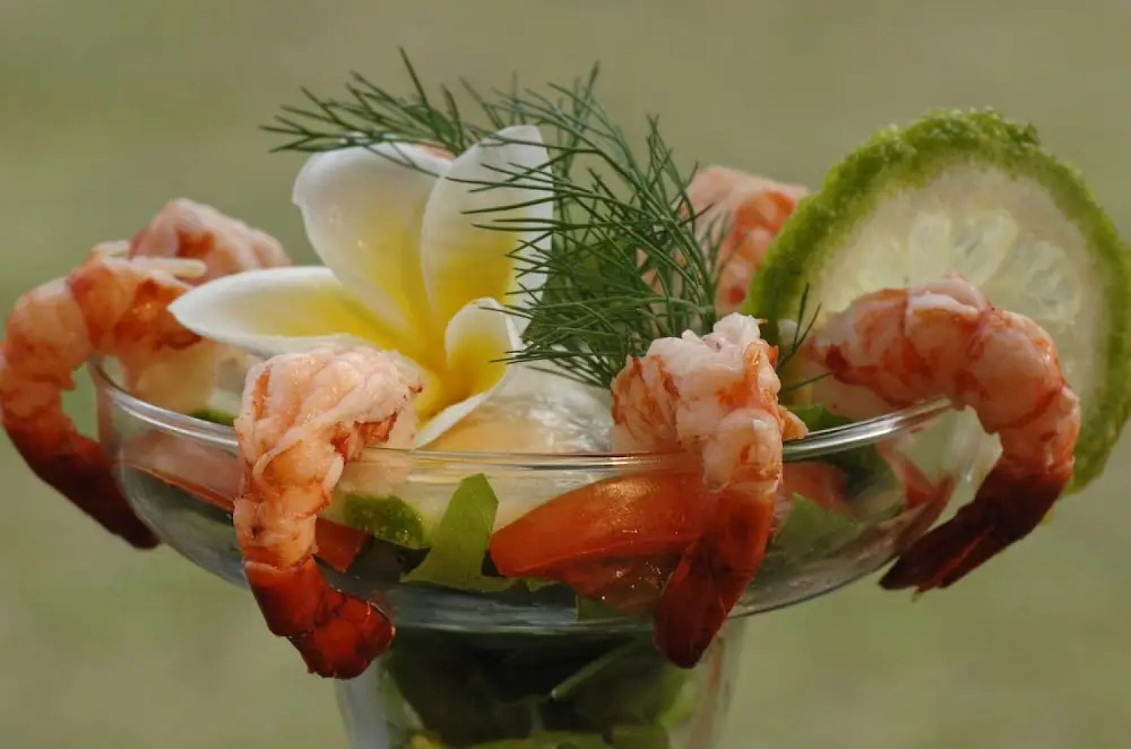 La Dolce Vita Holiday Villas