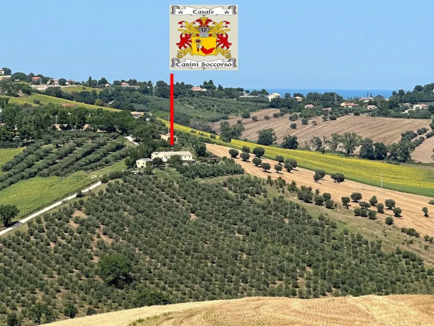 the Mulberry on the Hills of Senigallia a Stone's Throw From the sea