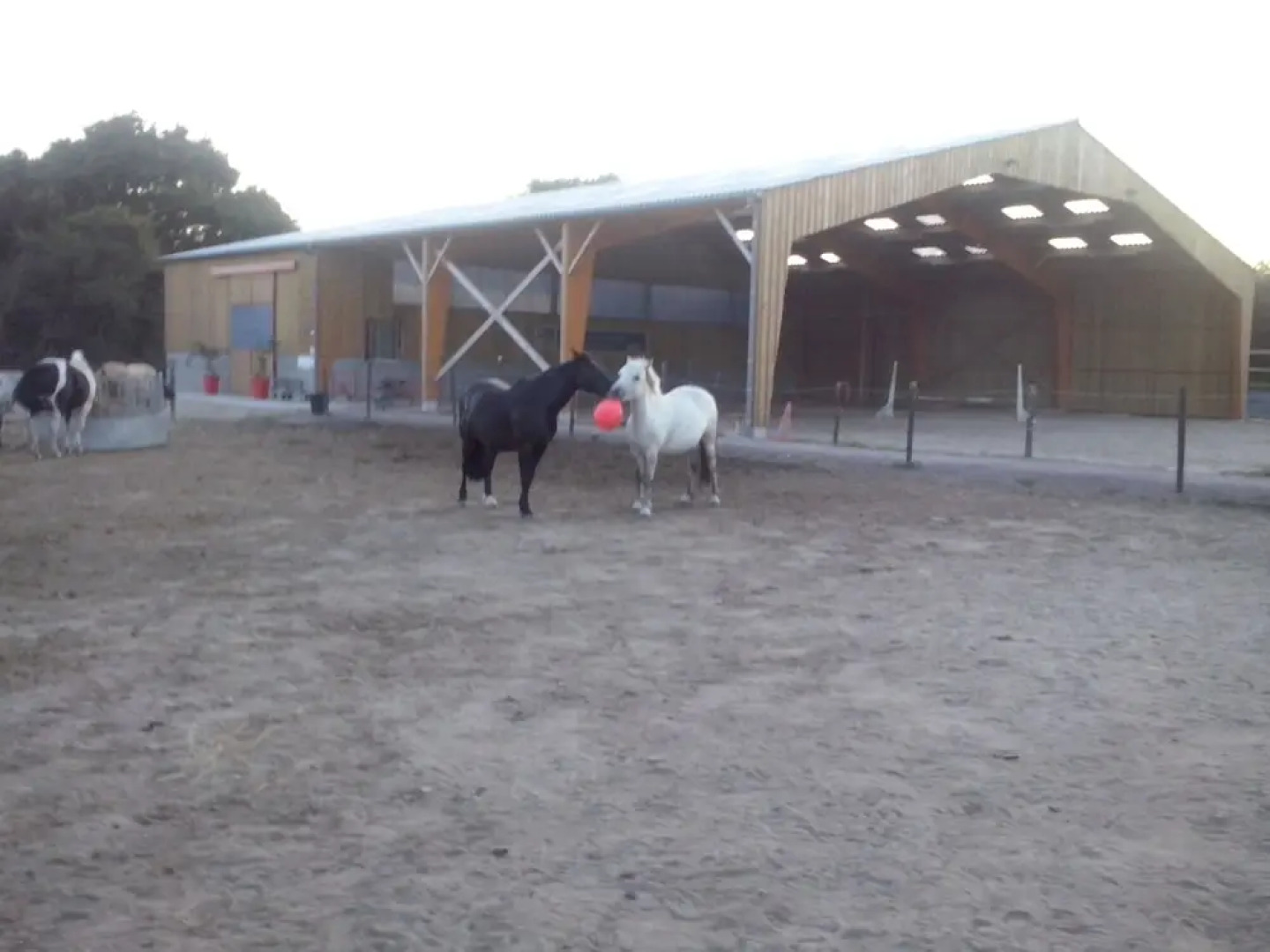 Ecurie Leseigneur - Cabanes des Elfes