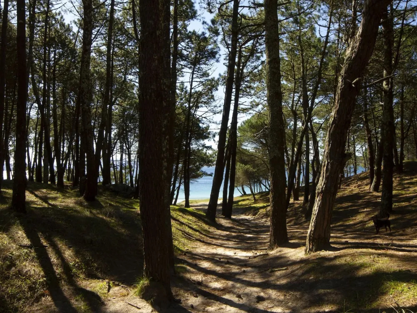 Spacious Villa in Galicia With Swimming Pool