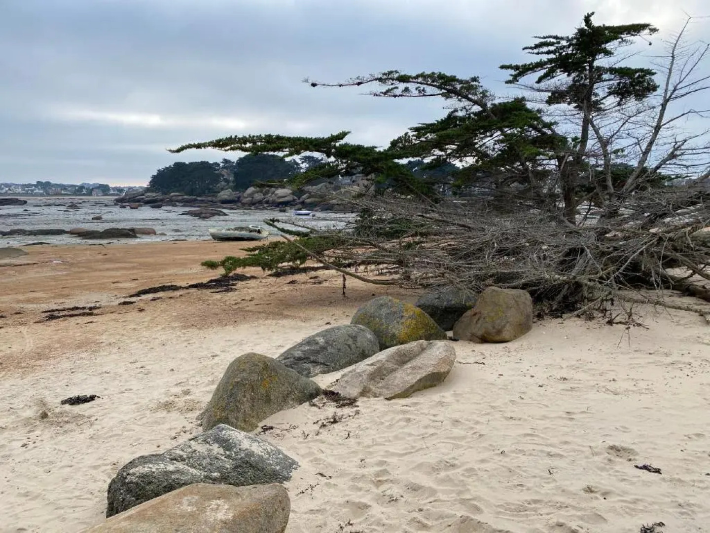 Résidence du Pélican