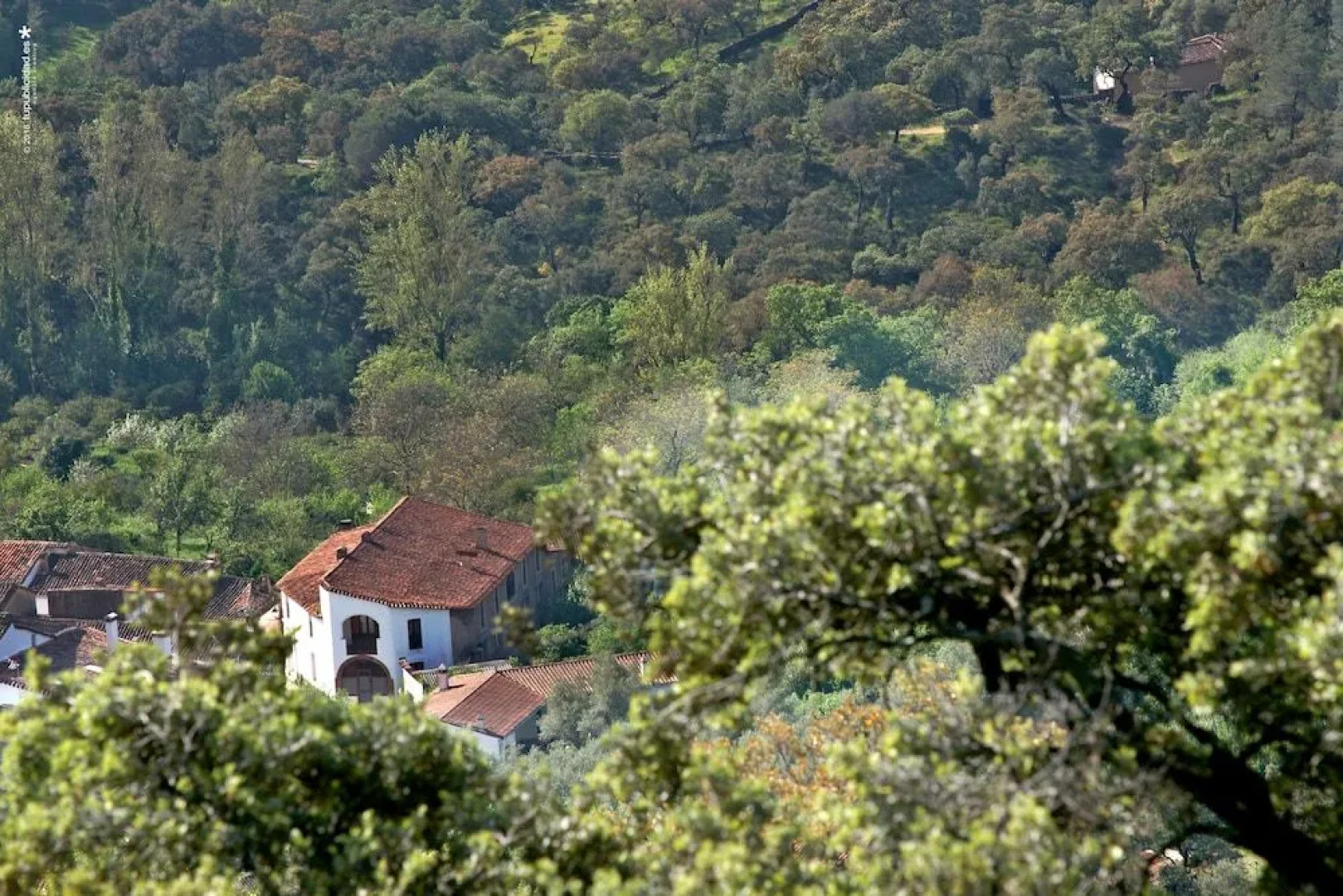 La Molinilla Apartamentos Y Hammam - Adults Only