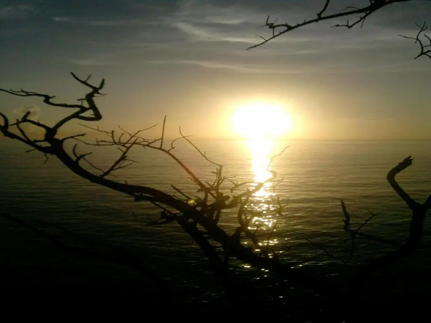 Shades Cottage Guesthouse