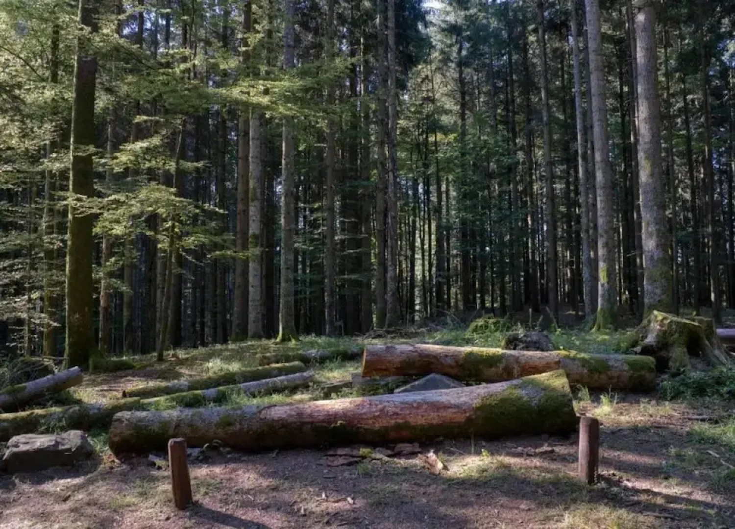 Holiday Home in Ortignano