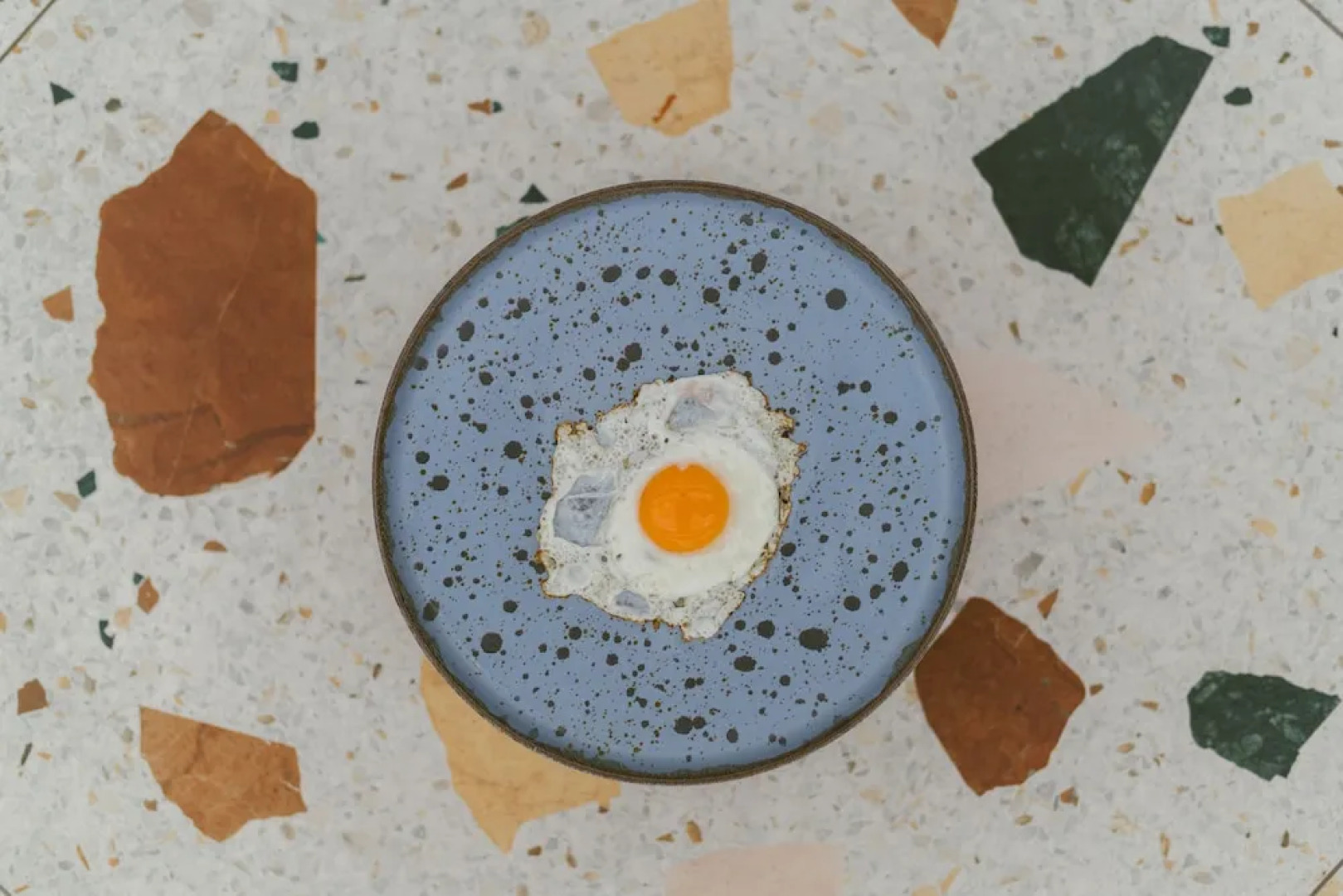 Reiters Finest Family 4s