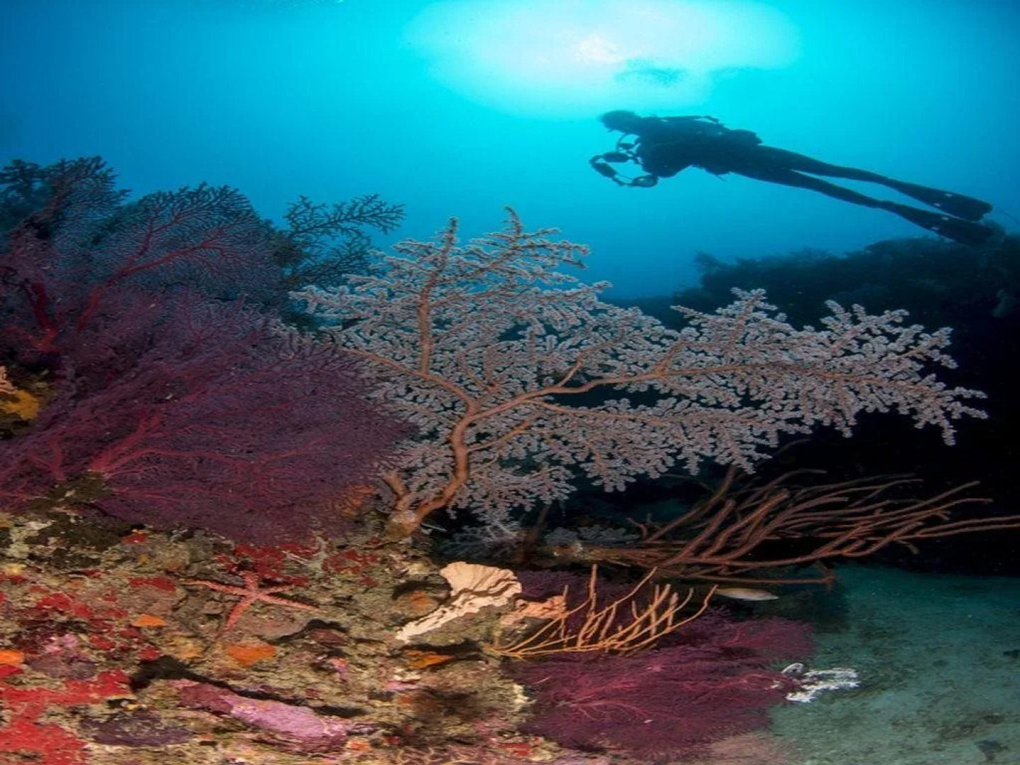 Punta Bulata Resort & Spa