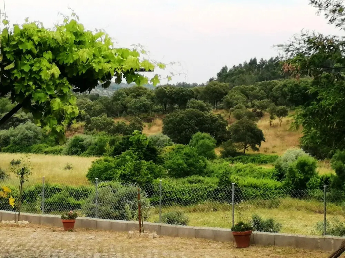 Villa With 4 Bedrooms in Castelo Branco, With Enclosed Garden and Wifi