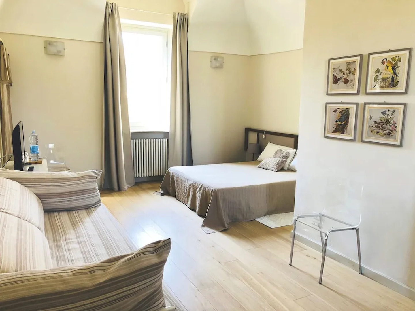 B&B Fraxinus Excelsior