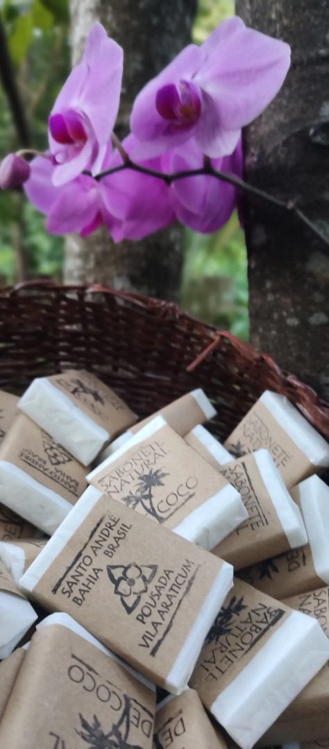 Pousada Vila Araticum Praia