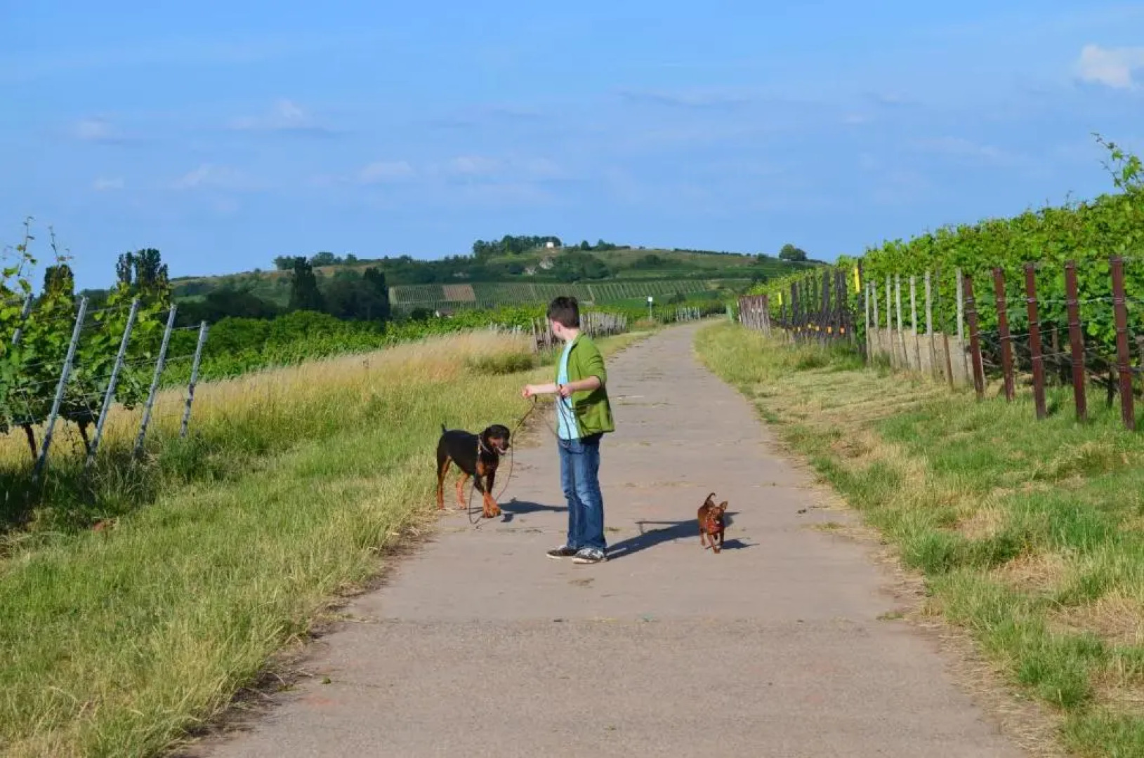 Hotel & Restaurant Castell