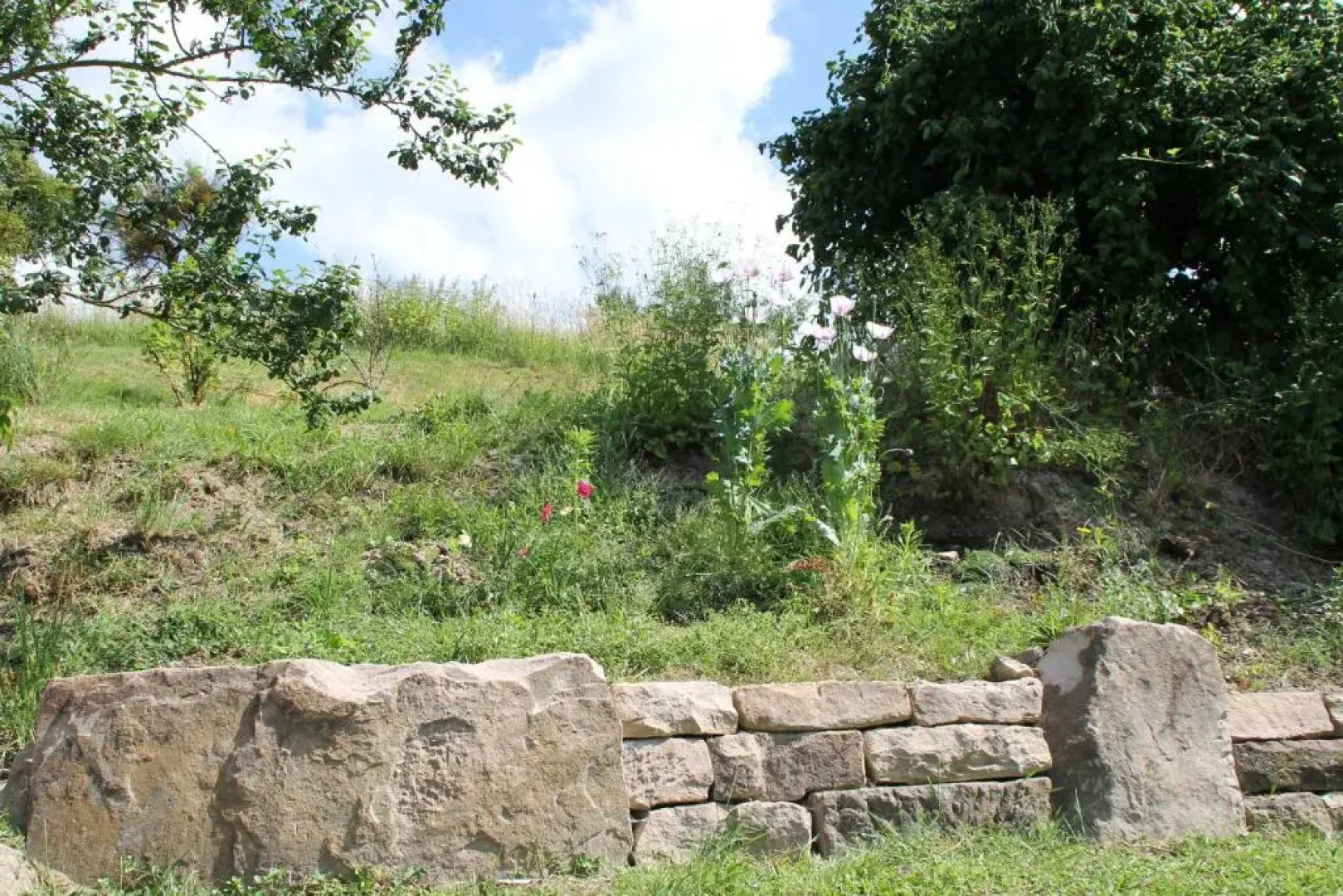 Hainhof Gaestewohnungen