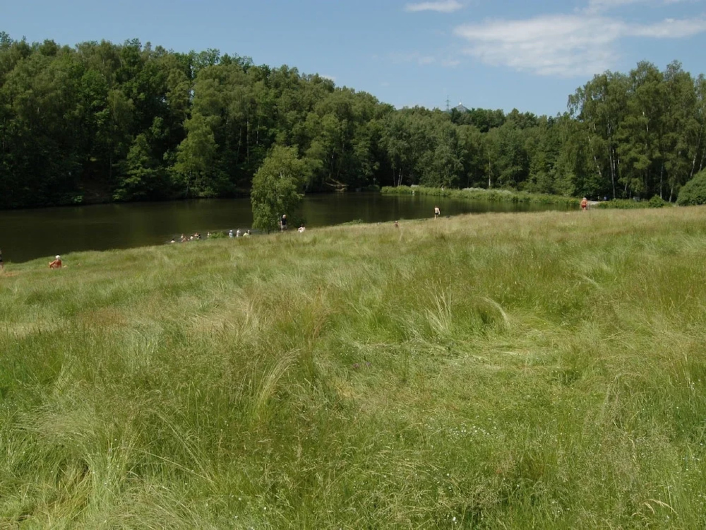 Cozy Cabin near Lake in Liberec Czech Republic