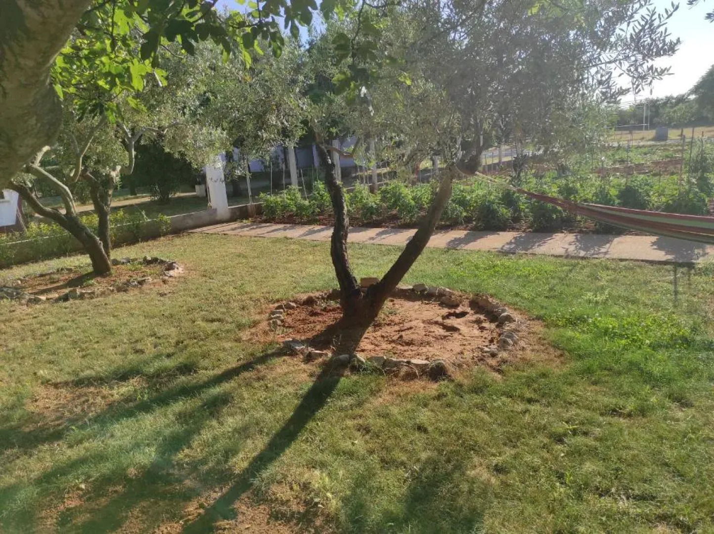 Apartments Zaton Draga