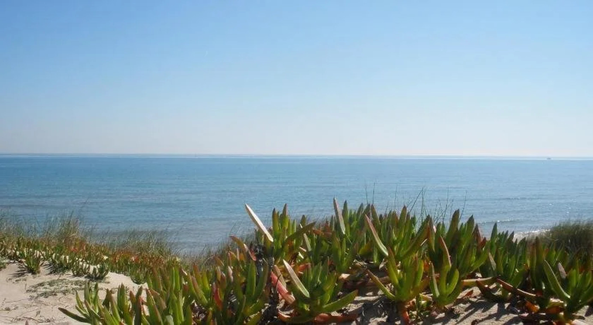 Flats Friends Alquería de Vilches