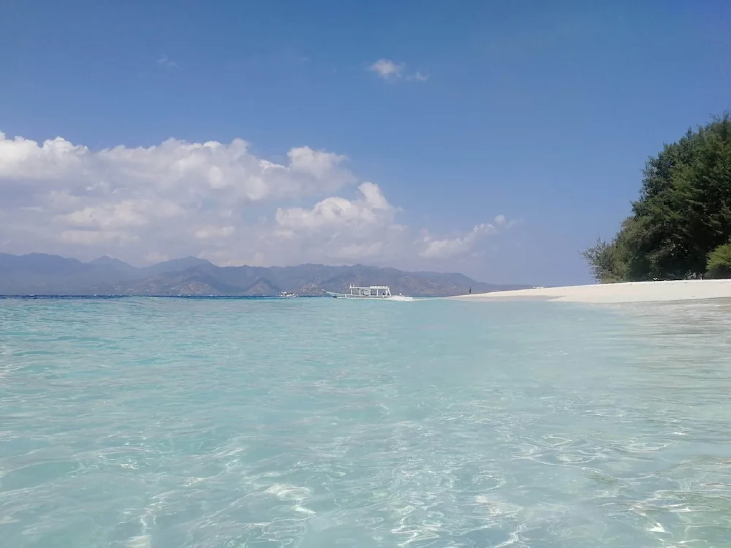 The Rabbit Tree - Hostel