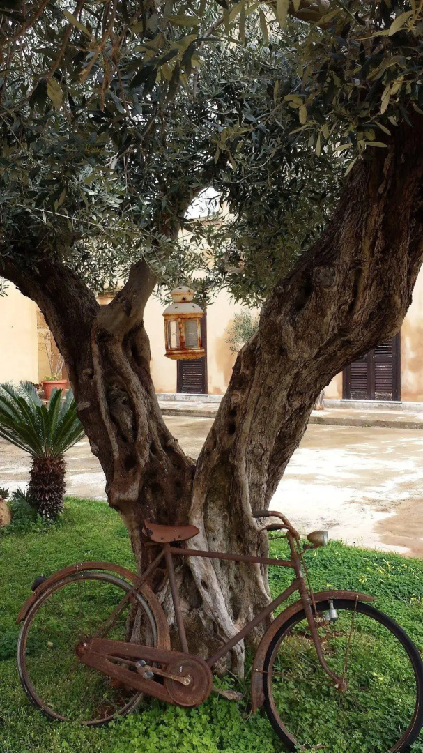 Baglio Cudia Resort