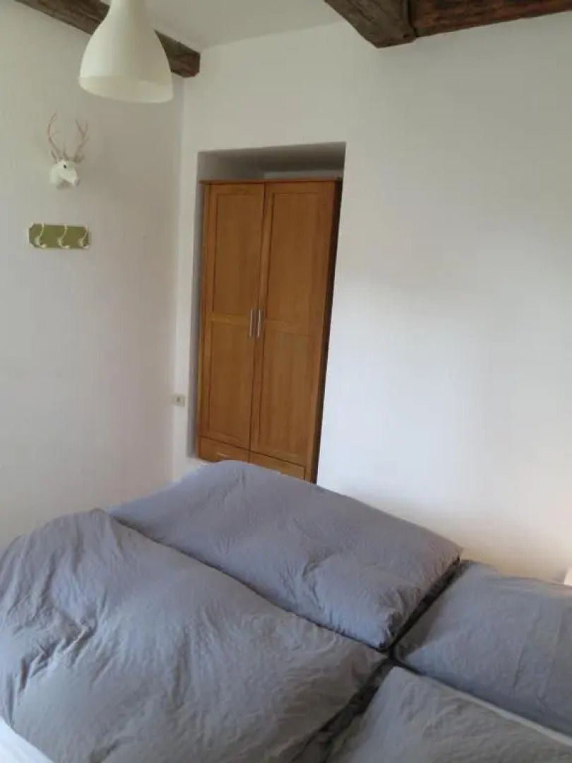 Apartment Brauner Hirsch