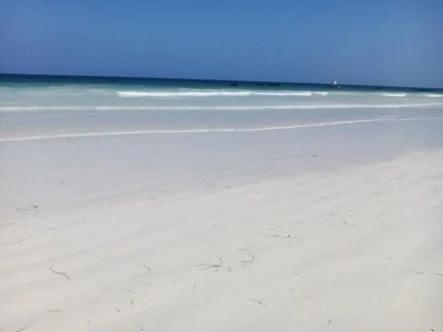 Simba Oryx Beach Cottages