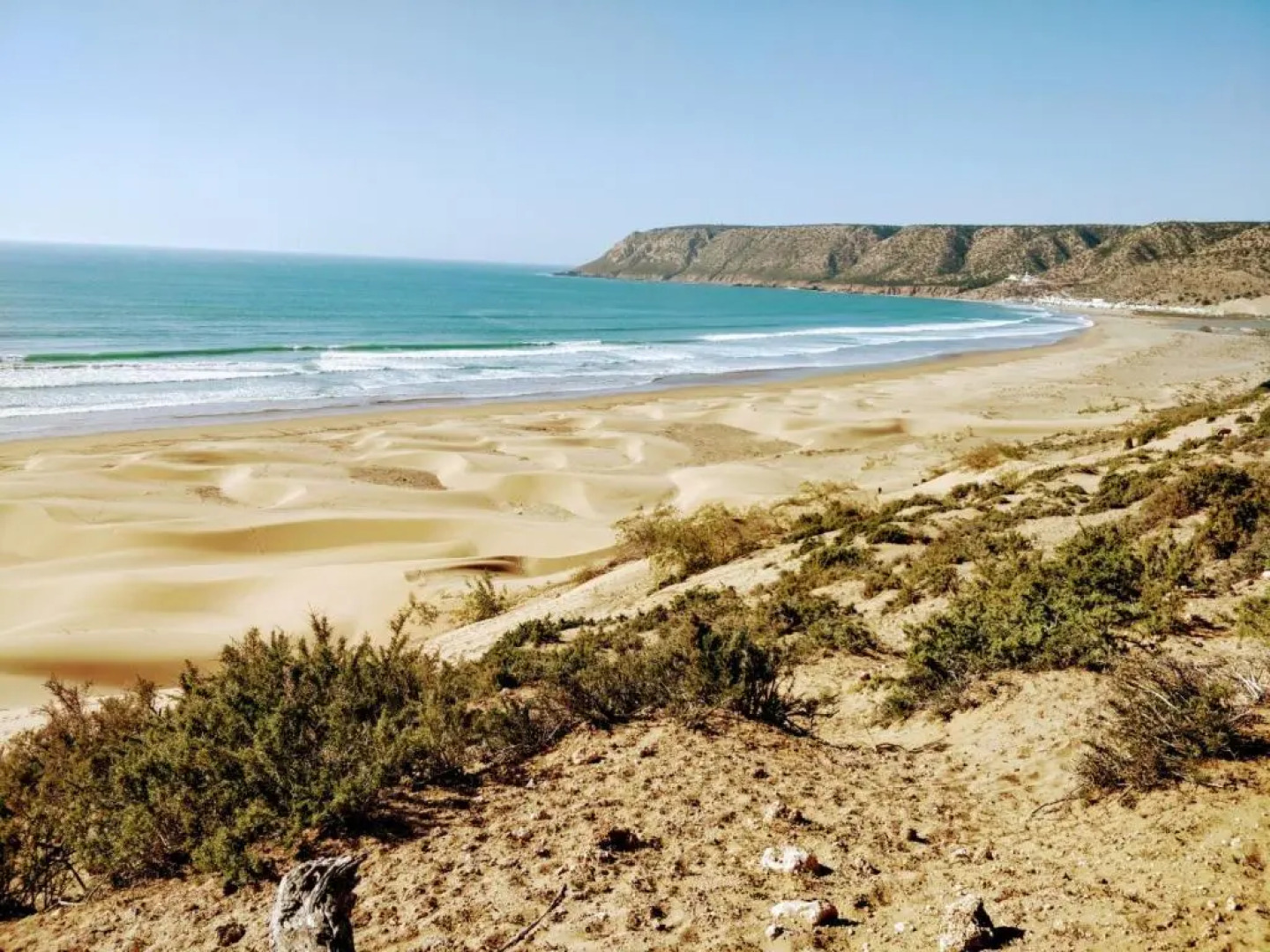 Petit Jardin Surf House