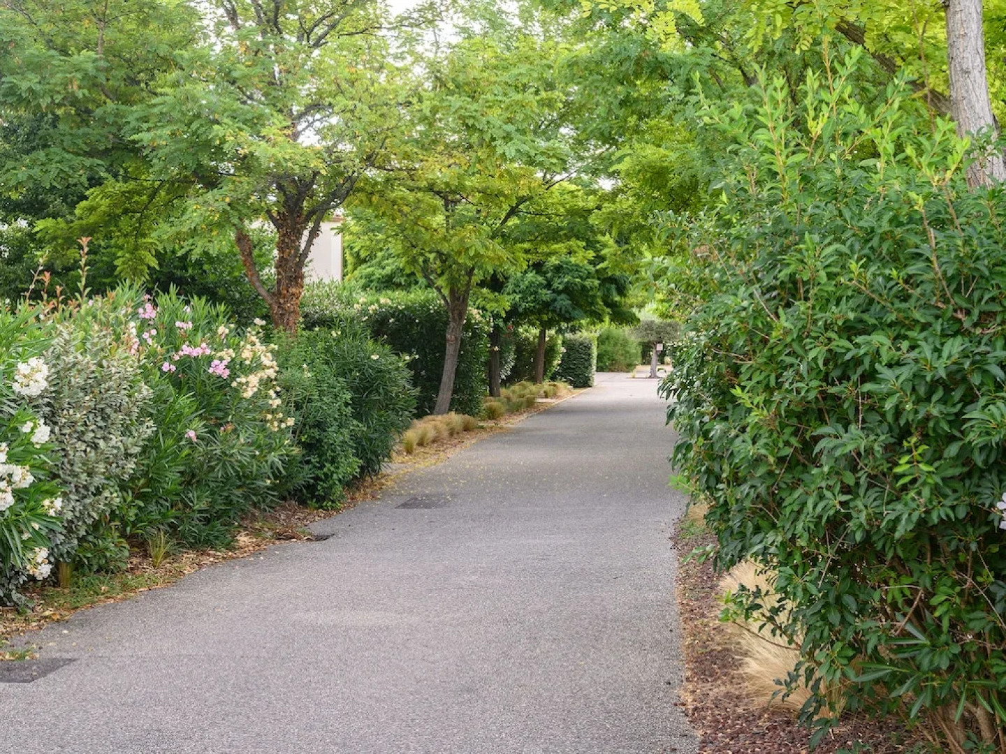 Vacancéole - AUBIGNAN Les Demeures du Ventoux