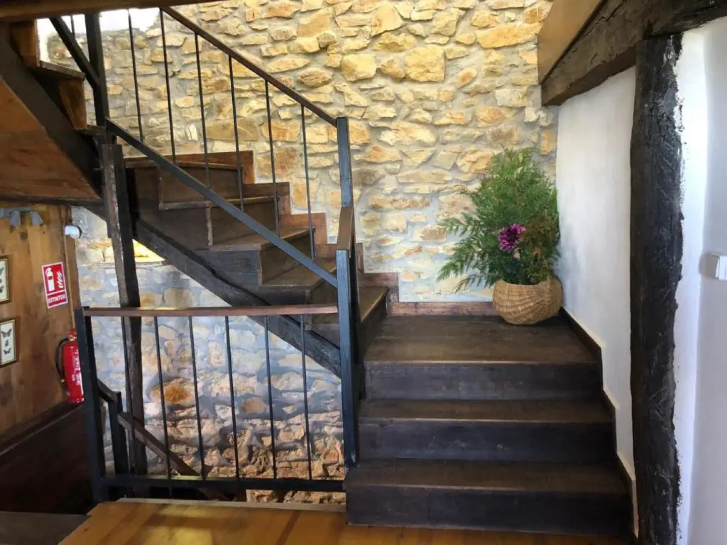 elbosqueencantadocantabria