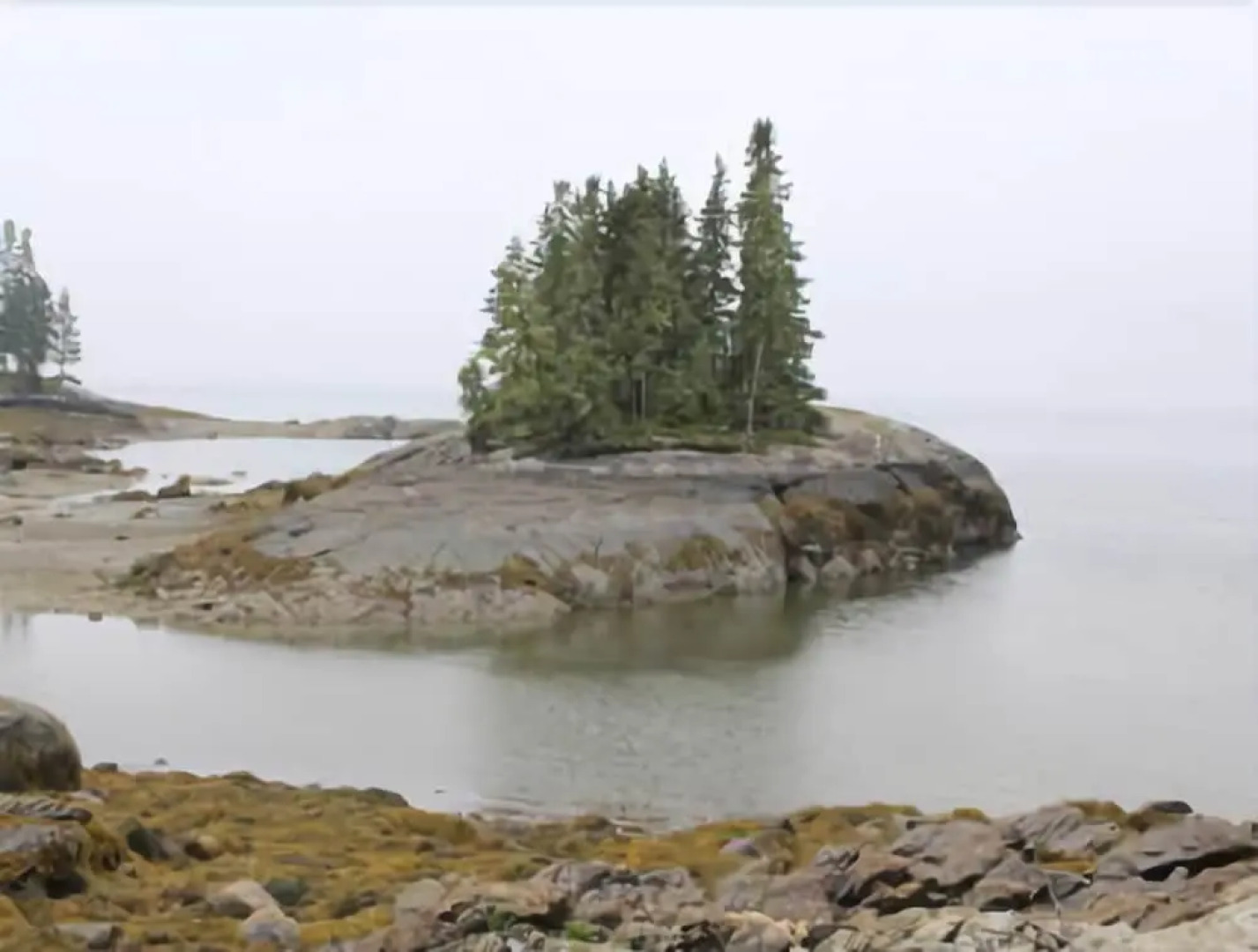 Jennifers Cottage - Two Bedroom Home