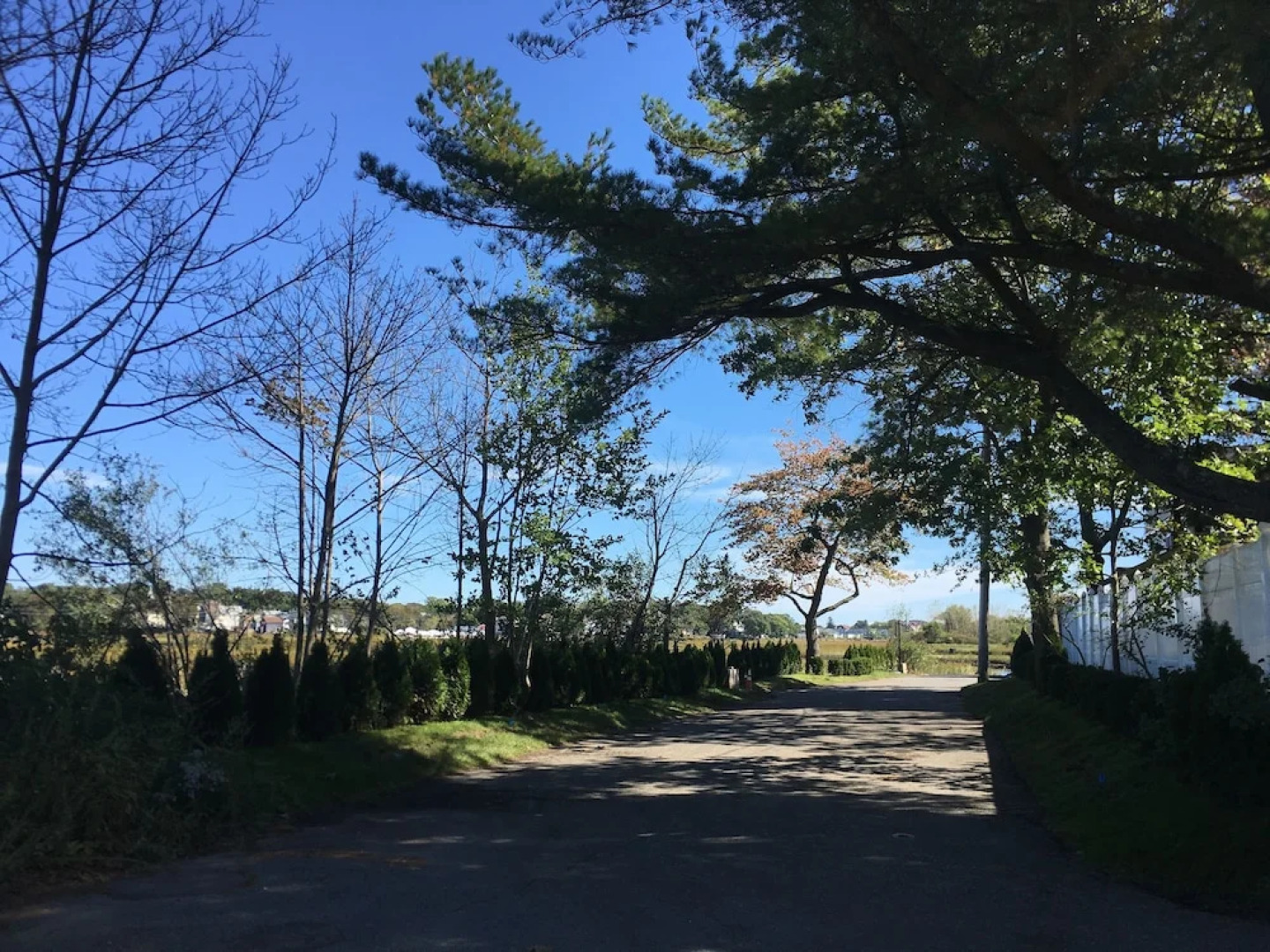 Rooms in Family House in Salem Boston