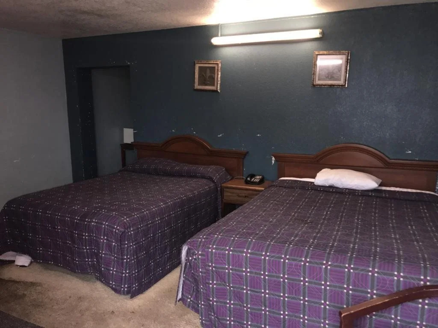 Flamingo Motel