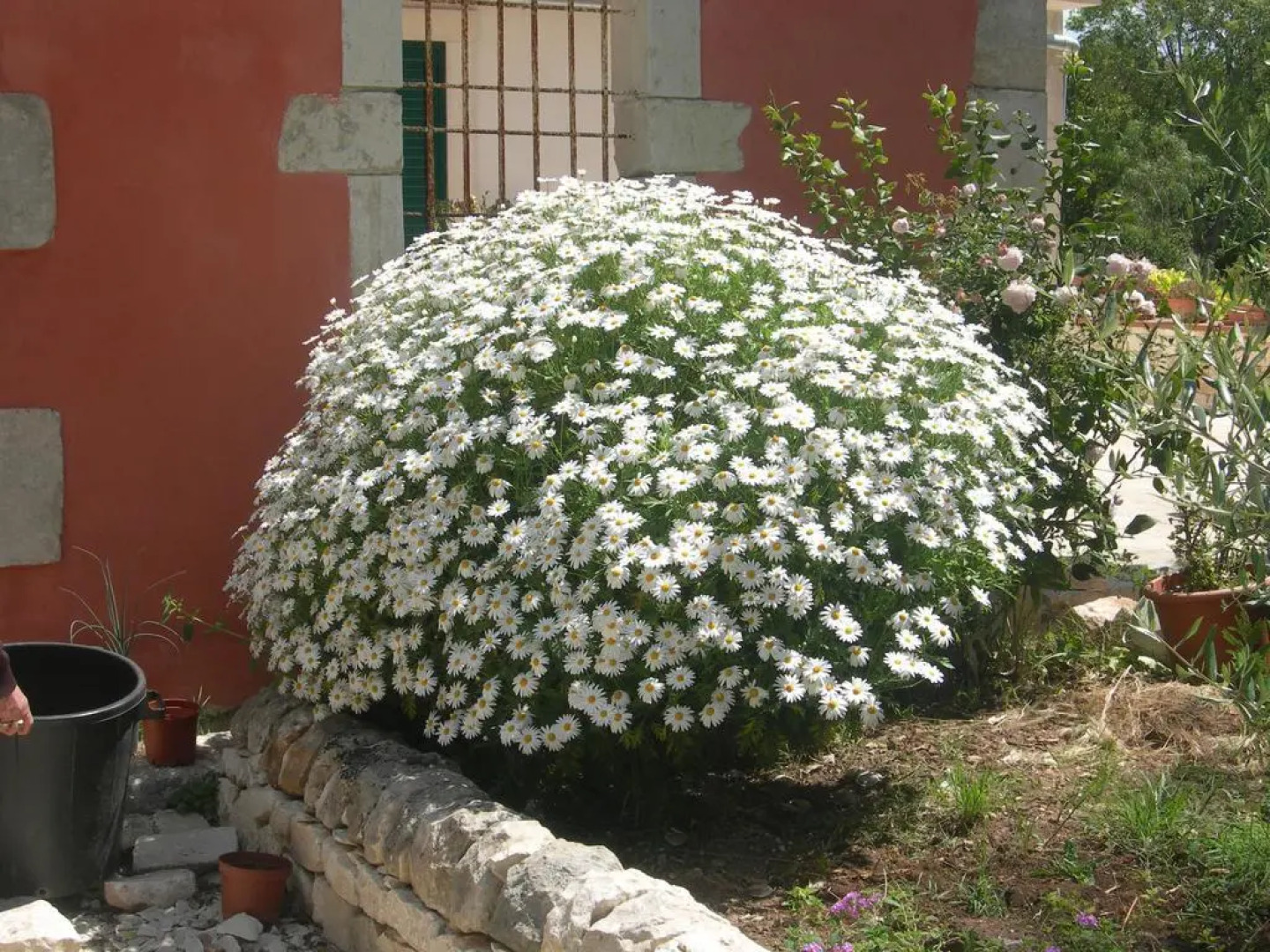 Modica Garden Resort