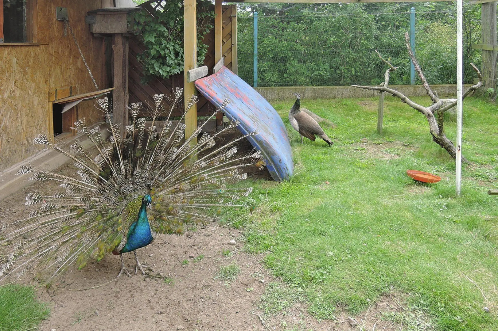 Holiday home Kolczewo Baltycka