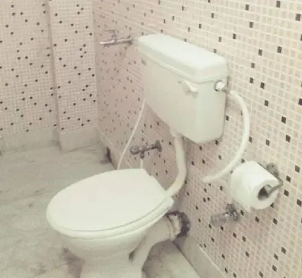 New Binapani Lodge Deluxe II