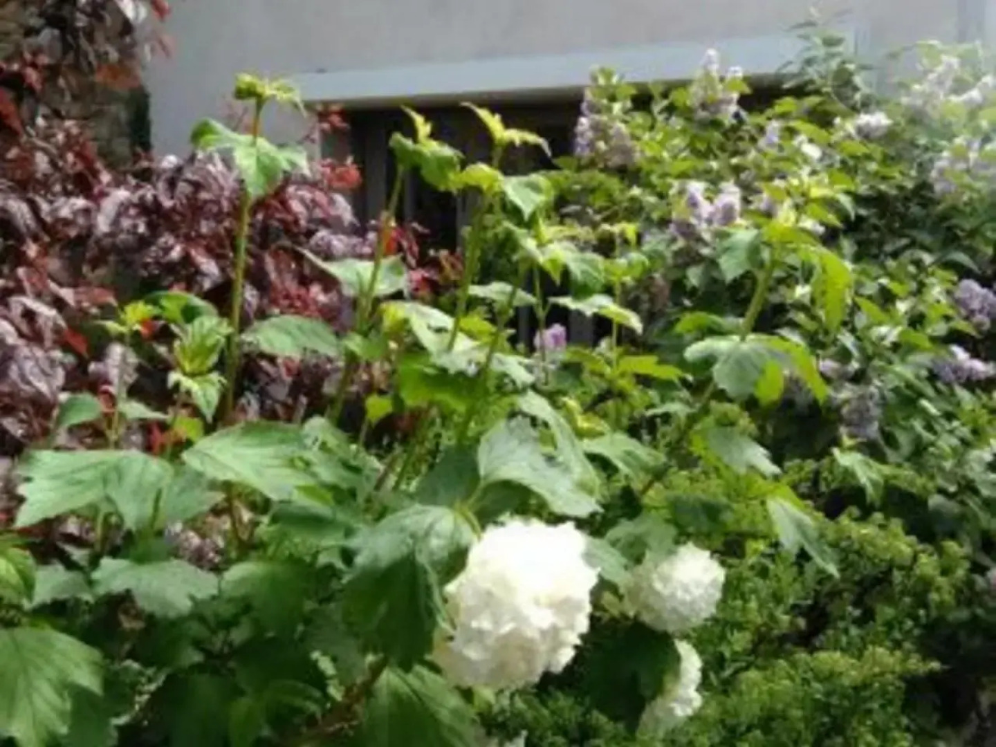 Gîte Tonnoy, 3 pièces, 4 personnes - FR-1-584-35